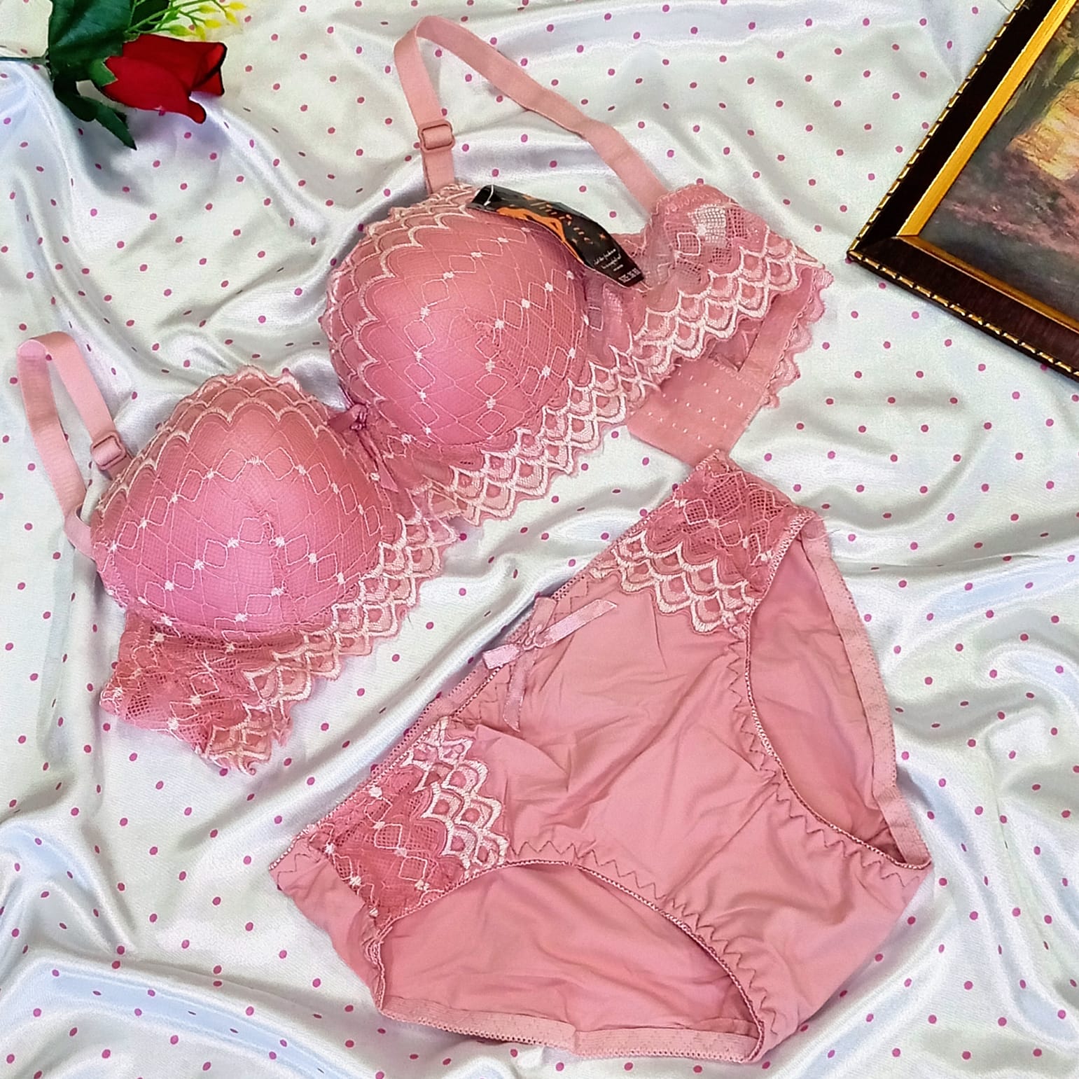 Front Embroudery Bra Panty Set