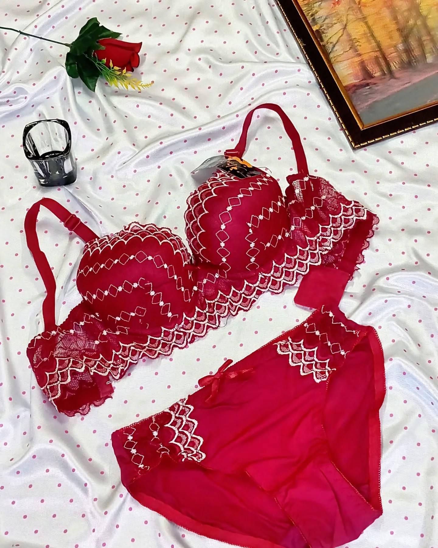 Front Embroudery Bra Panty Set
